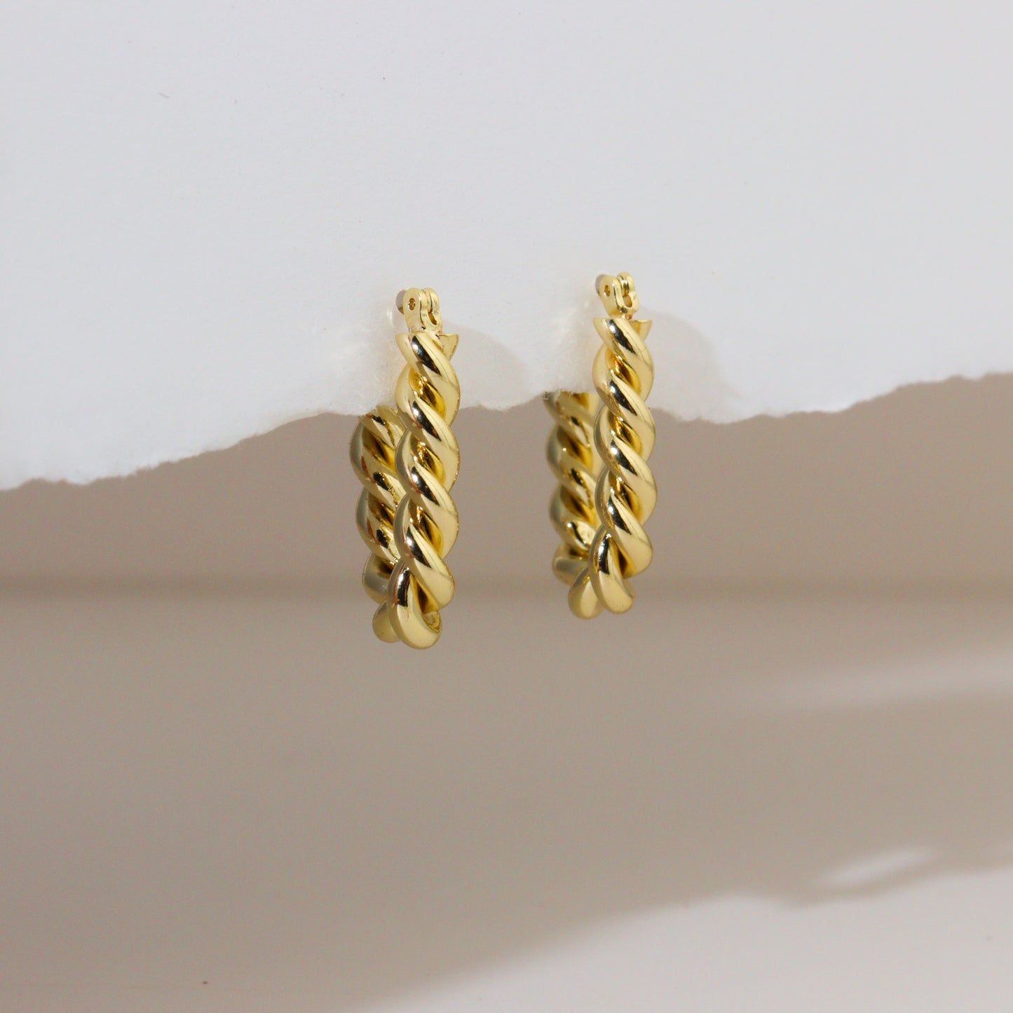 Twisted Braid Hoop Earrings