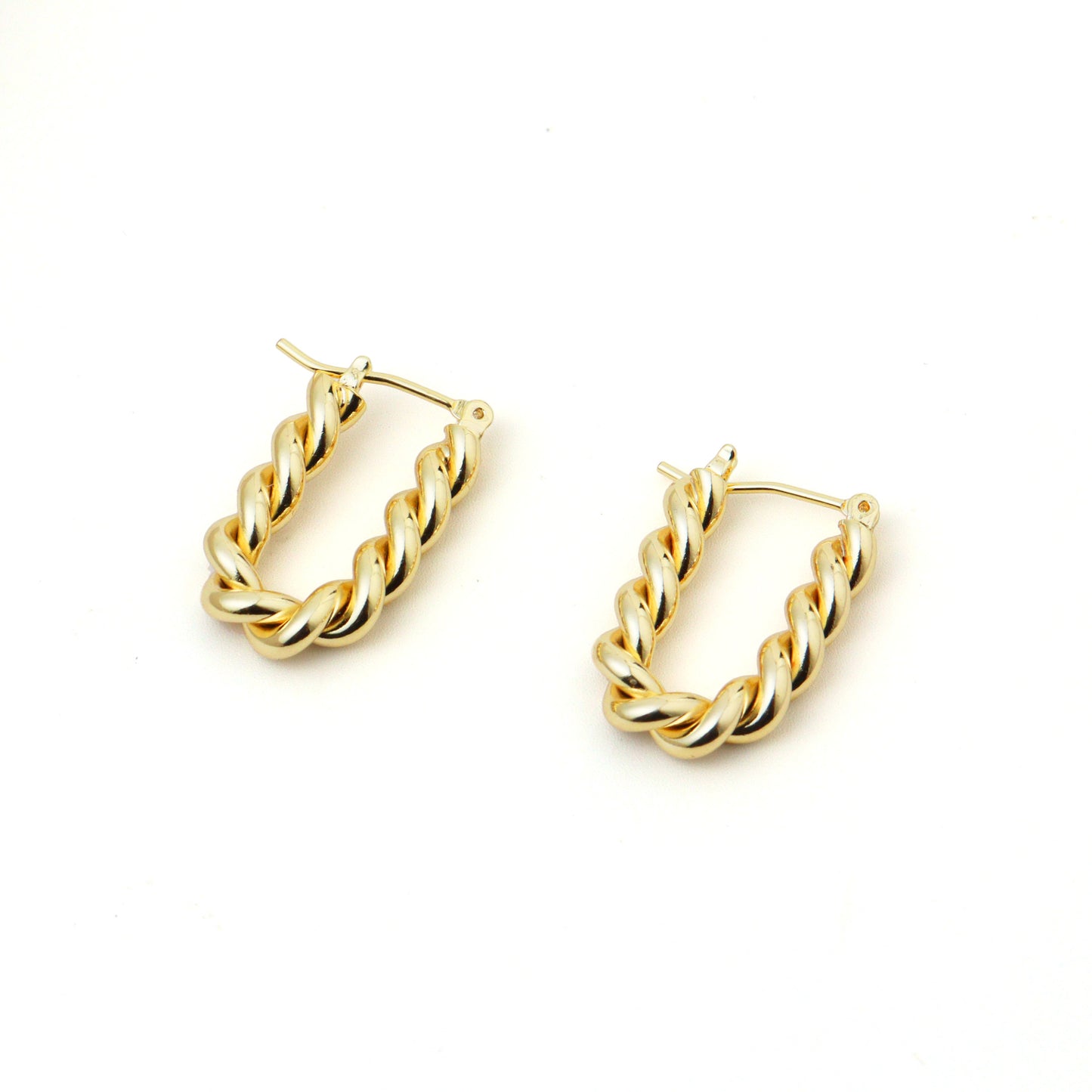 Twisted Braid Hoop Earrings