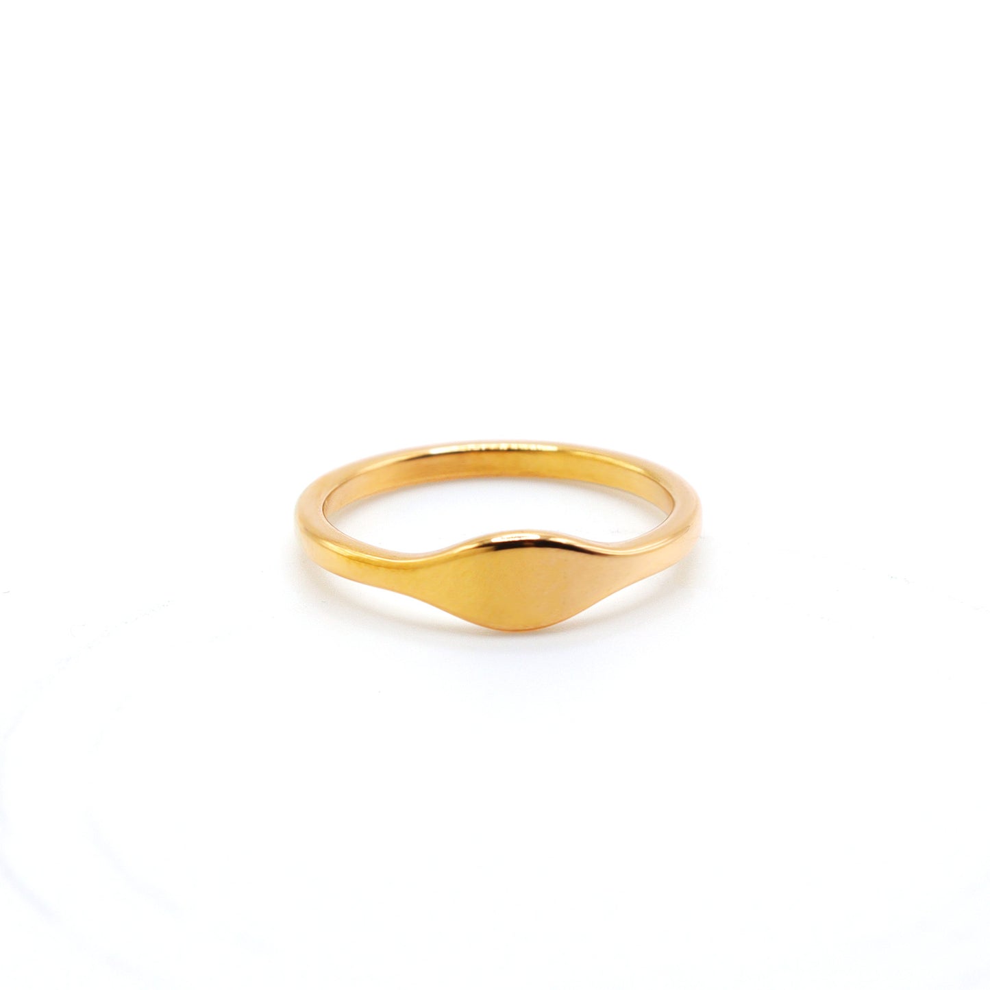 Signet Titanium Ring