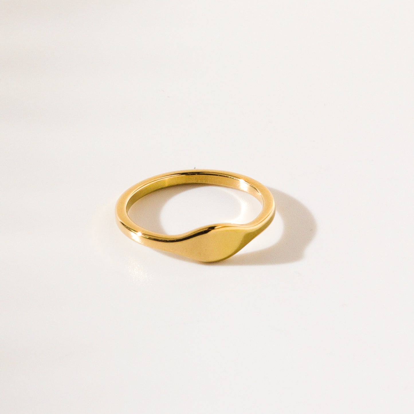 Signet Titanium Ring