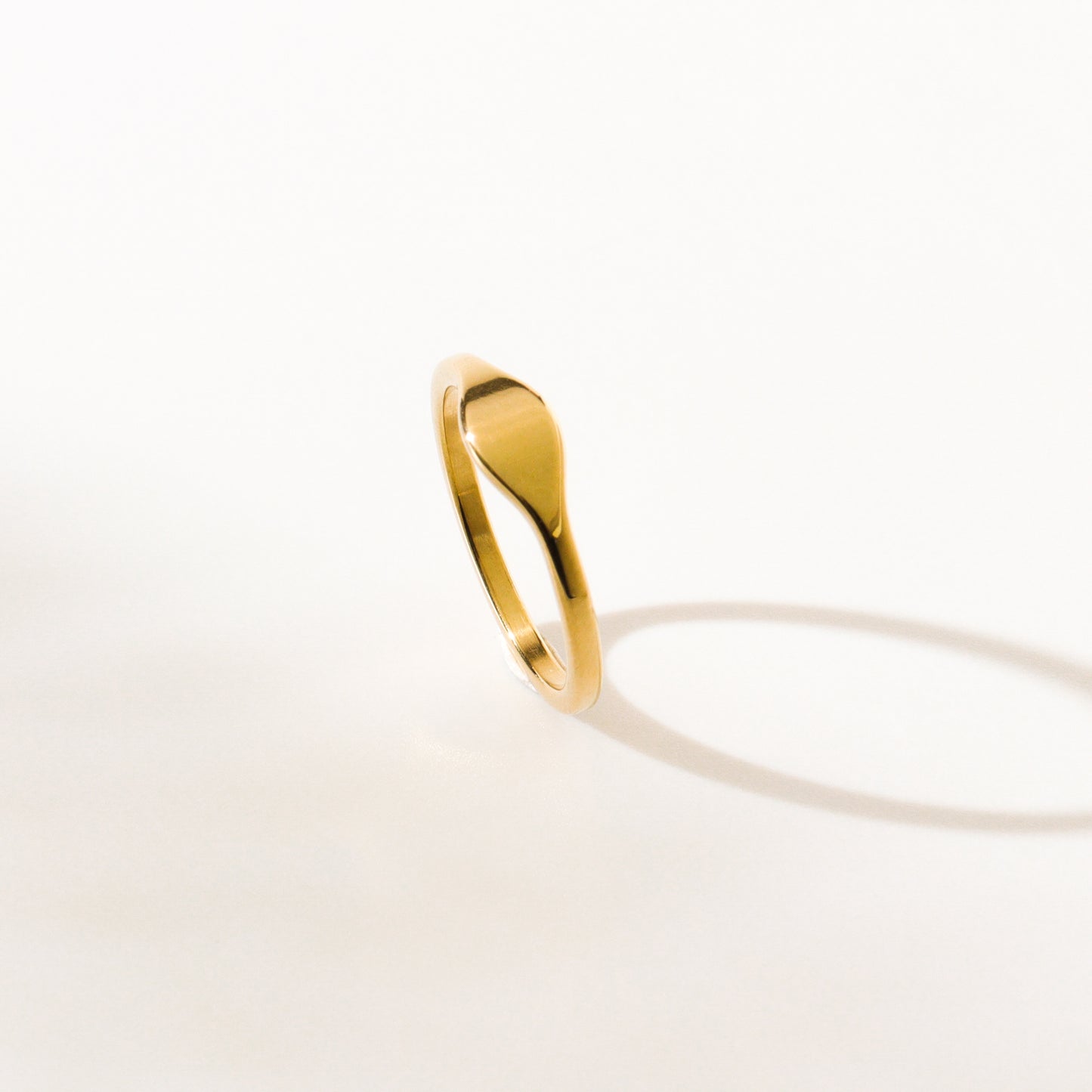 Signet Titanium Ring