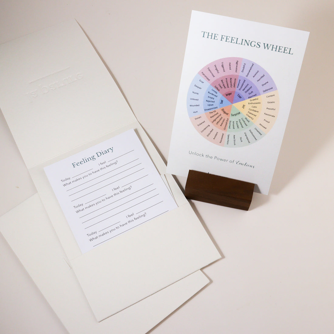 The Power of Understanding Emotions