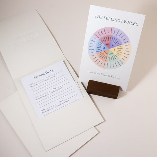 The Power of Understanding Emotions