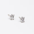 Paws Silver 925 Stud Earrings