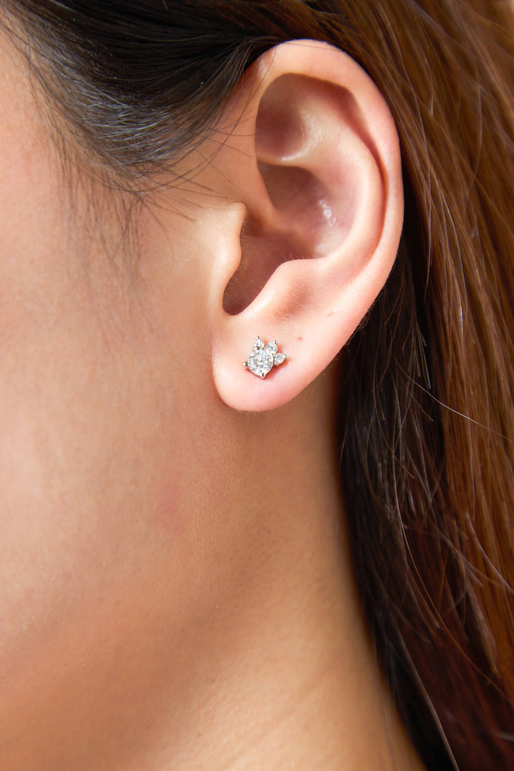 Paws Silver 925 Stud Earrings