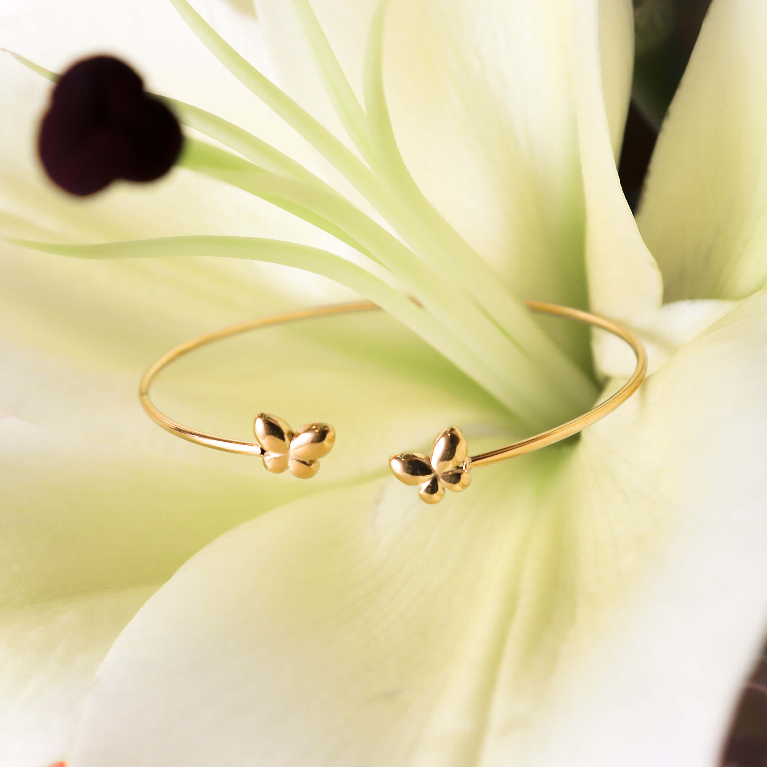 Duo Butterfly Bangle