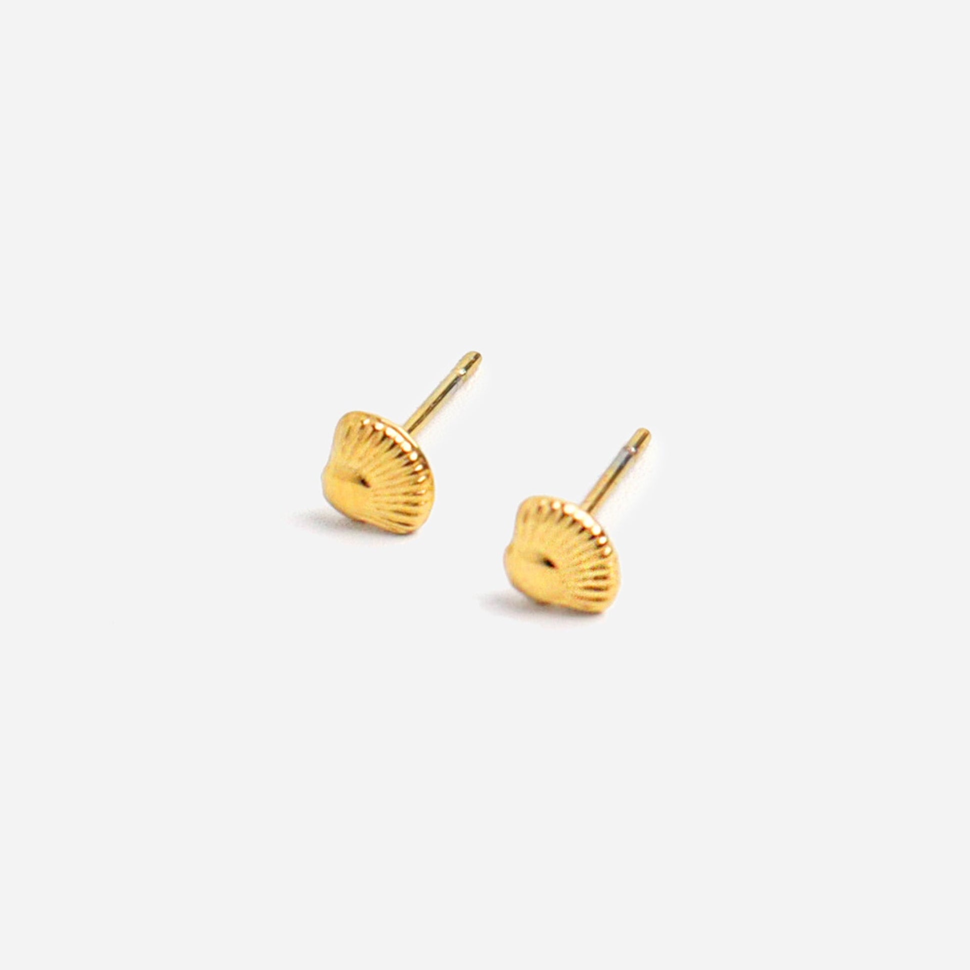 Tiny Shell Gold Stud Earrings