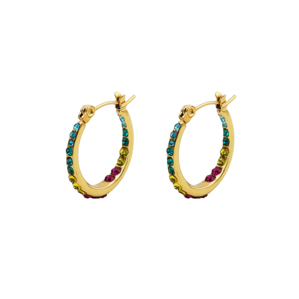 Multicolor Mini Hoop Earrings