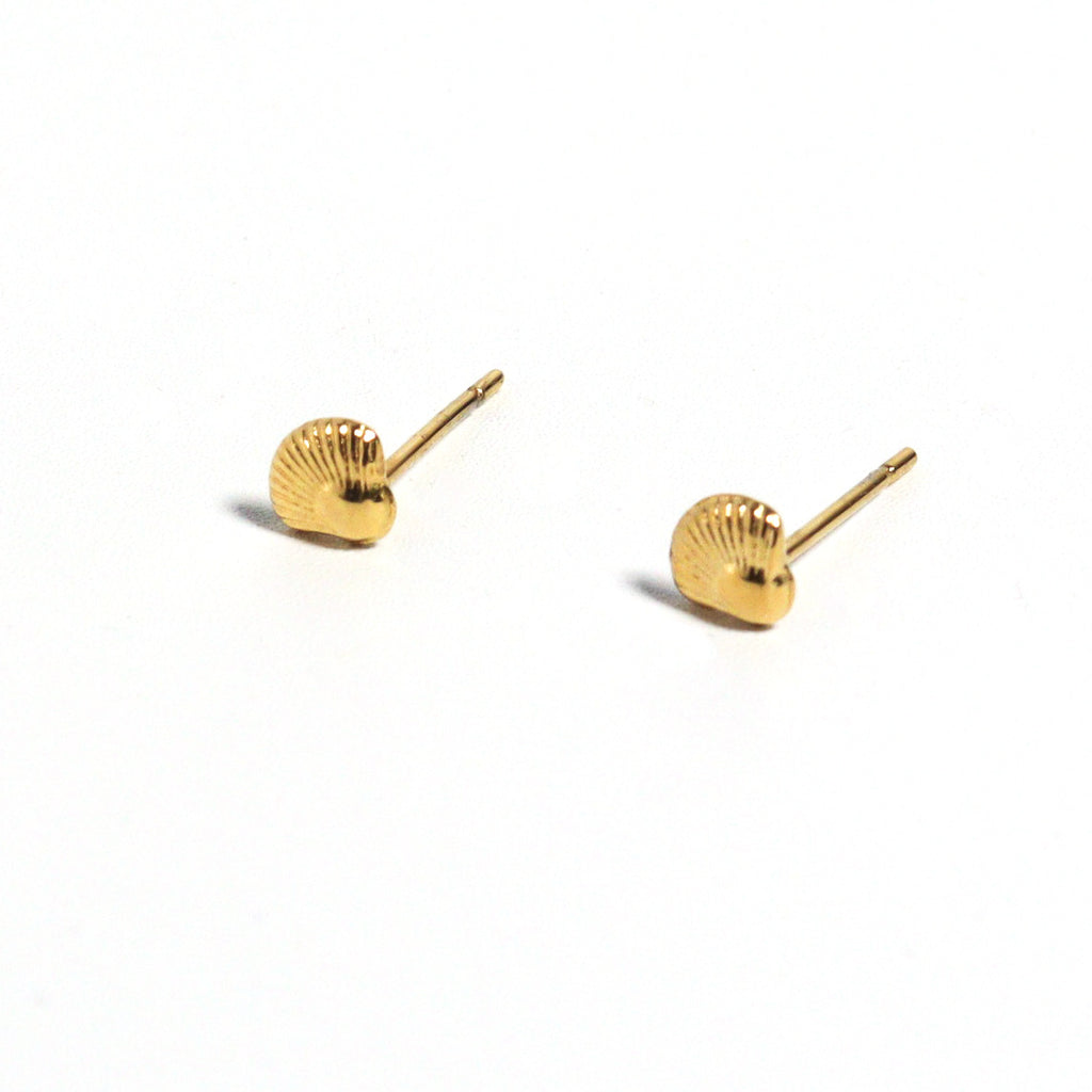 Tiny Shell Gold Stud Earrings