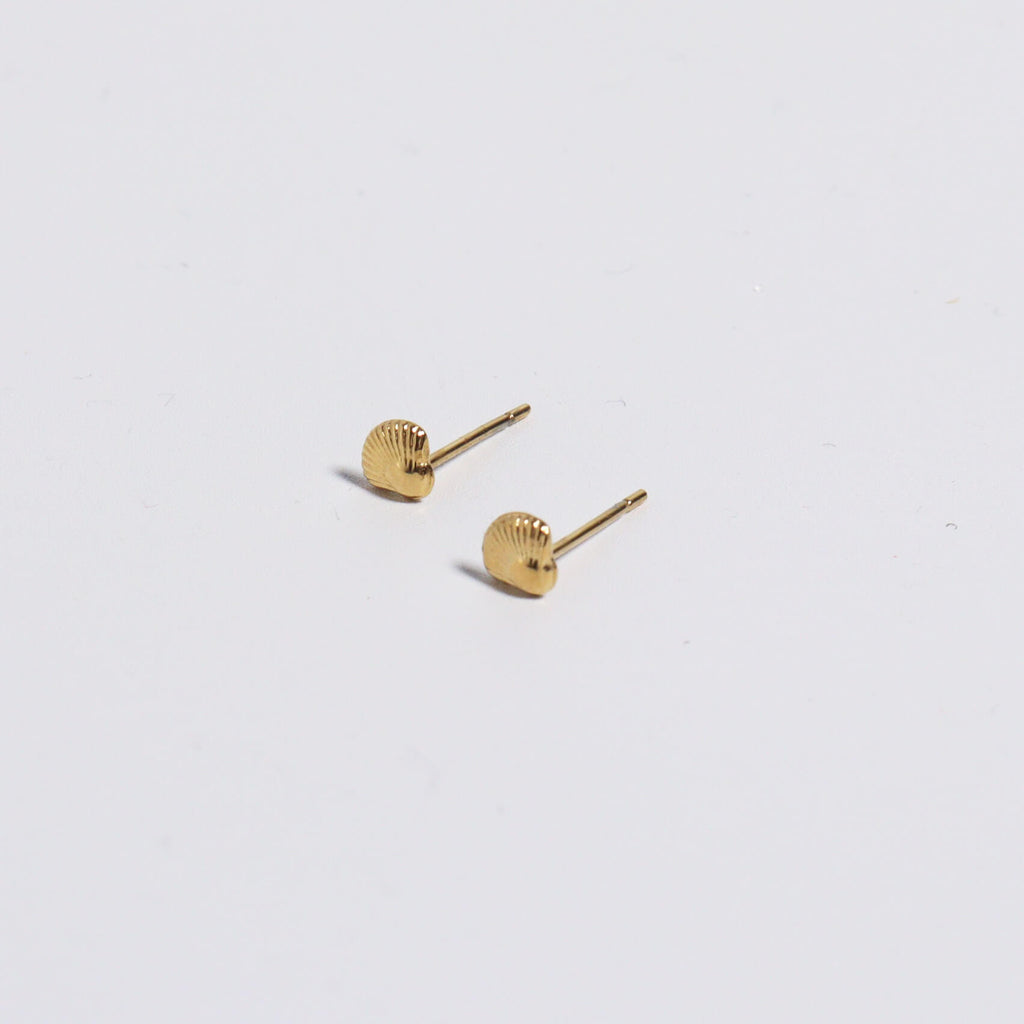 Tiny Shell Gold Stud Earrings