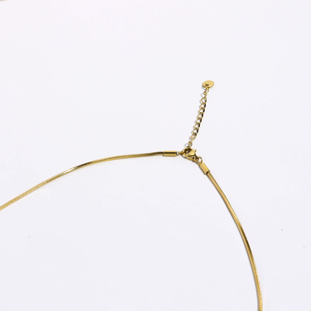 Enly Pearl Long Gold Necklace