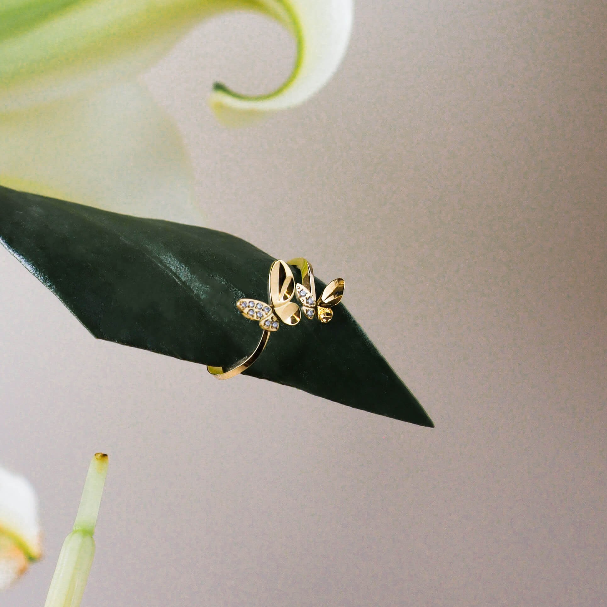 Duo Butterfly Cubic Ring