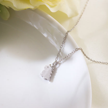 Tiny Dinosaur Silver 925 Necklace/Bracelet