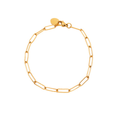 Paper Clip Chain Gold Titanium Bracelet