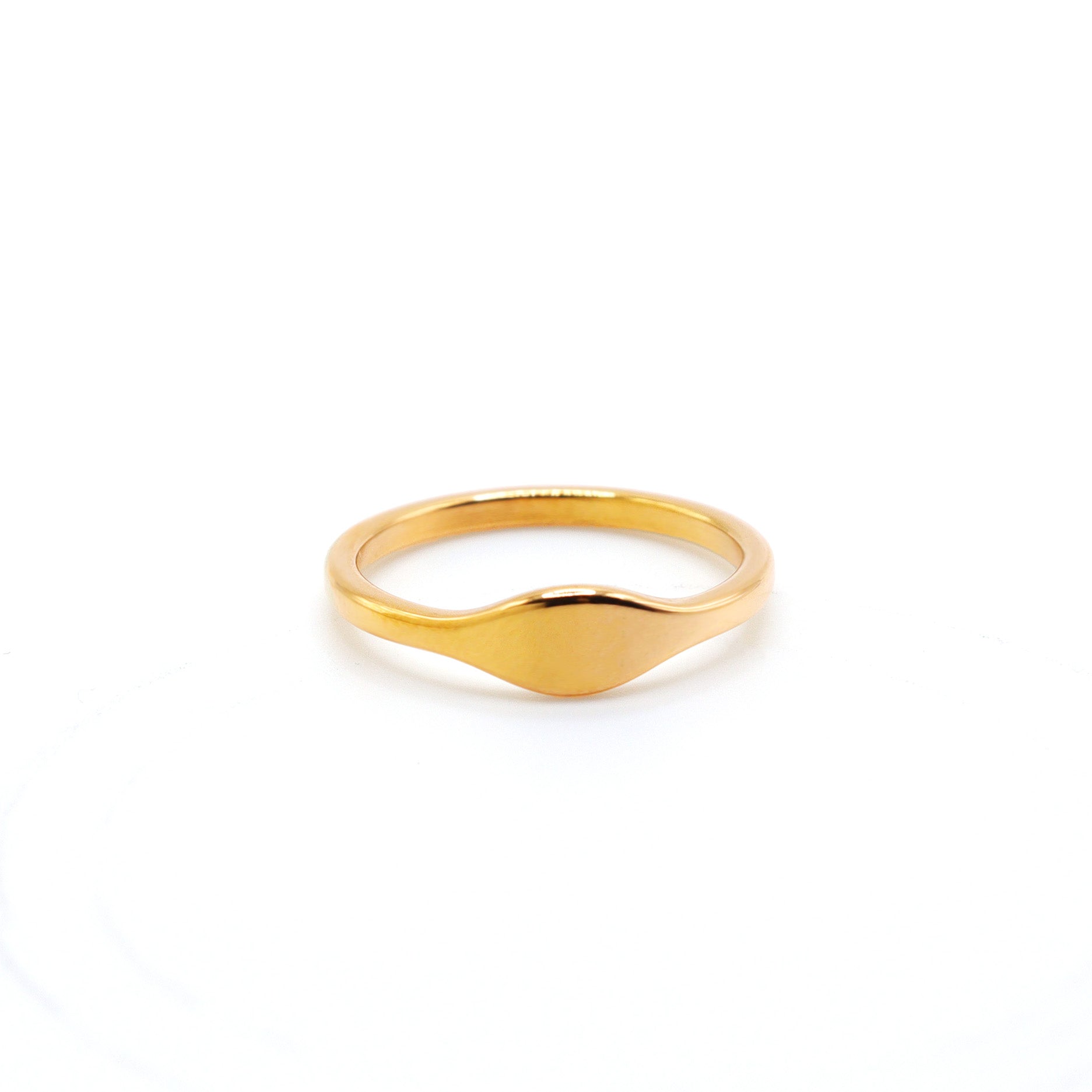 Signet Titanium Ring
