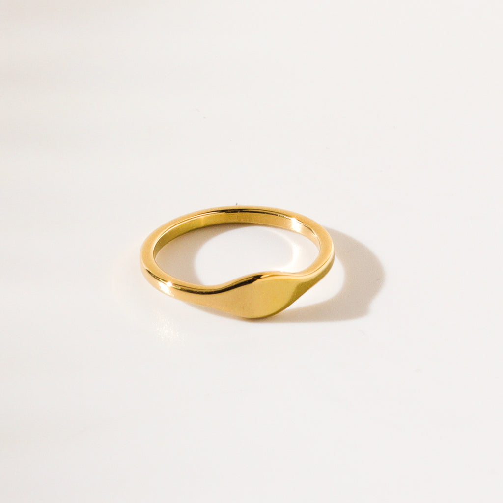 Signet Titanium Ring