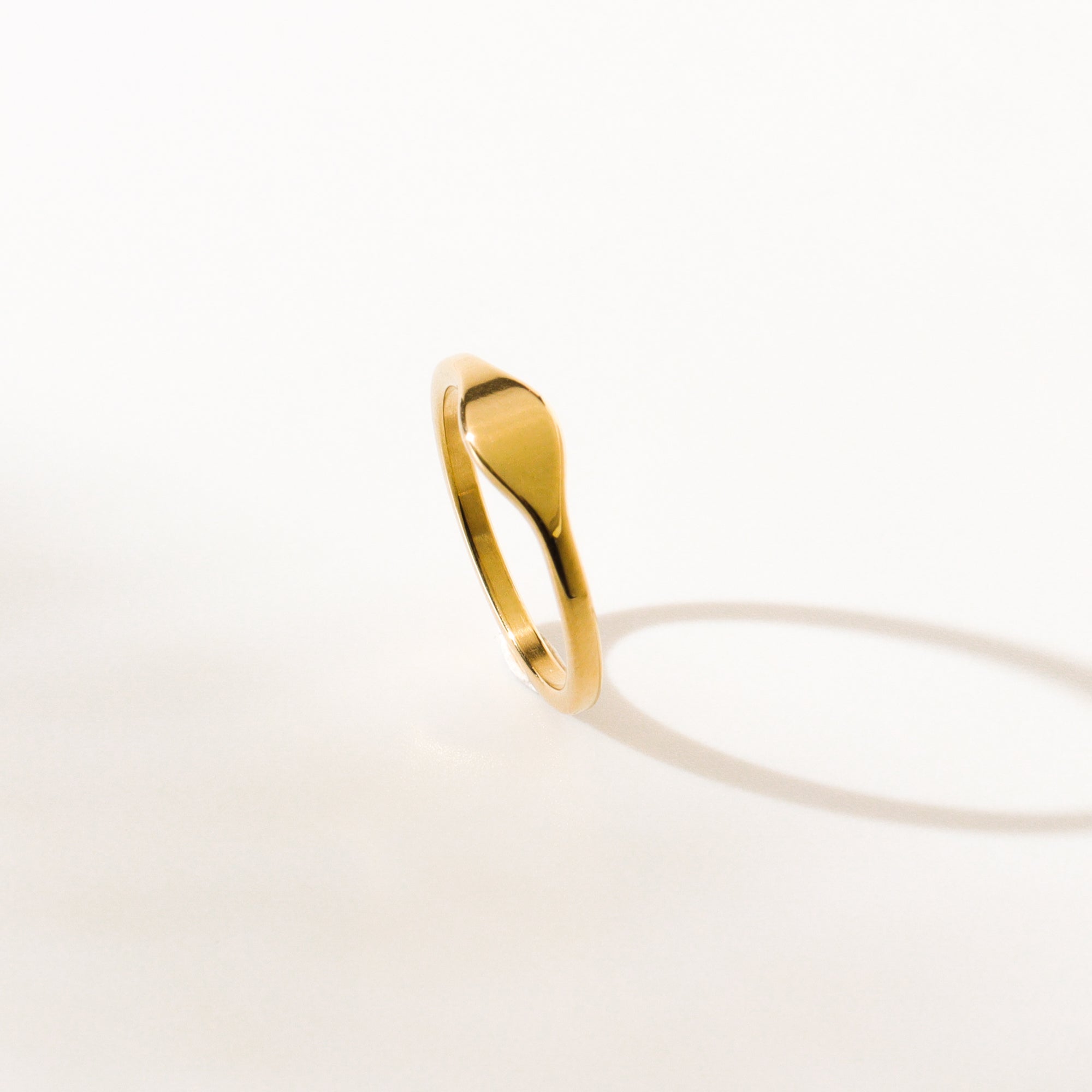 Signet Titanium Ring